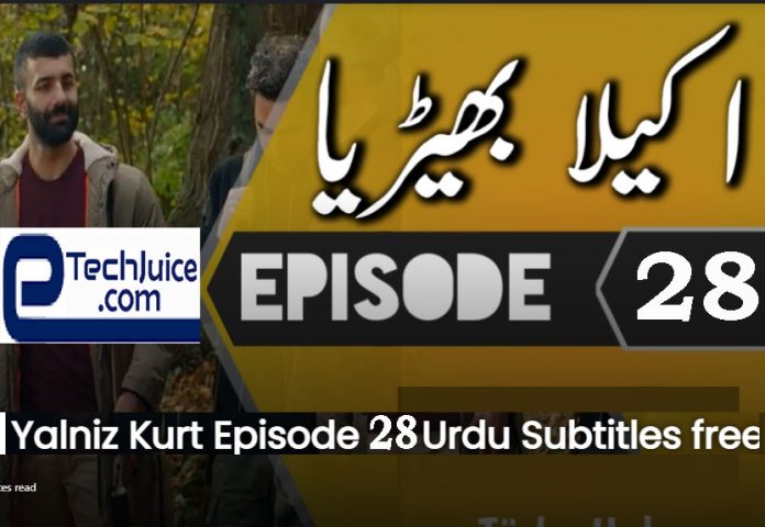 Yalniz Kurt Episode 28 urdu subtitles