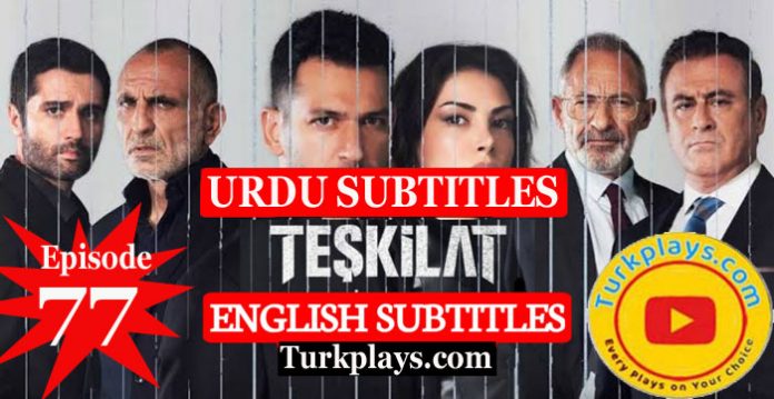 Teskilat Season 3 Episode 77 Urdu Subtitles
