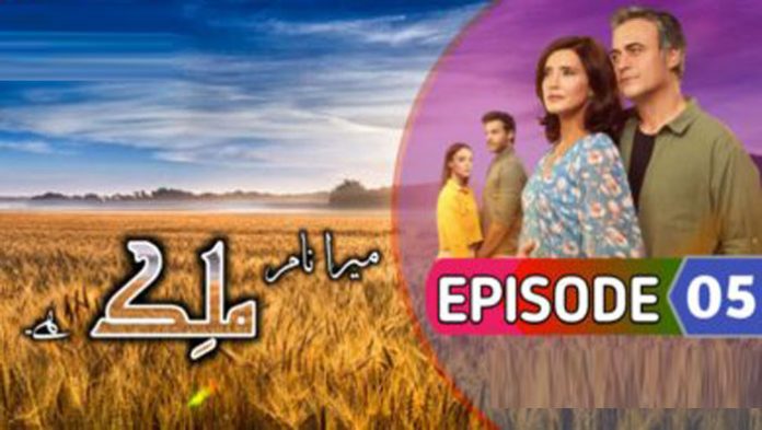 Malek Episode 5 with Urdu Subtitles