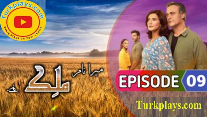 Malek Episode 9 with Urdu Subtitles
