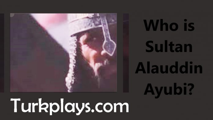 Who is Sultan Alauddin Ayubi?