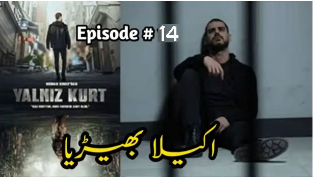 Yalniz Kurt Episode 14 English & Urdu subtitles free of cost