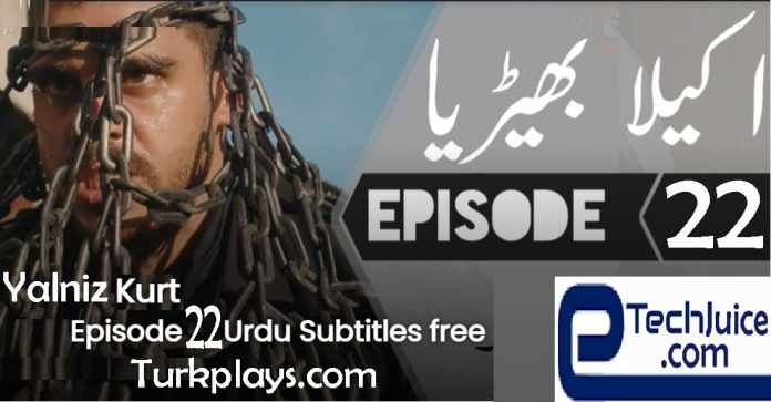 Yalniz Kurt Episode 22 English & Urdu subtitles free of cost