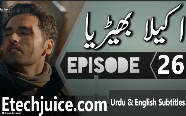 Yalniz Kurt Episode 26 English & Urdu subtitles free of cost