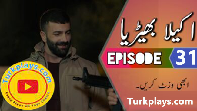 Yalniz Kurt Episode 31 English & Urdu subtitles free of cost