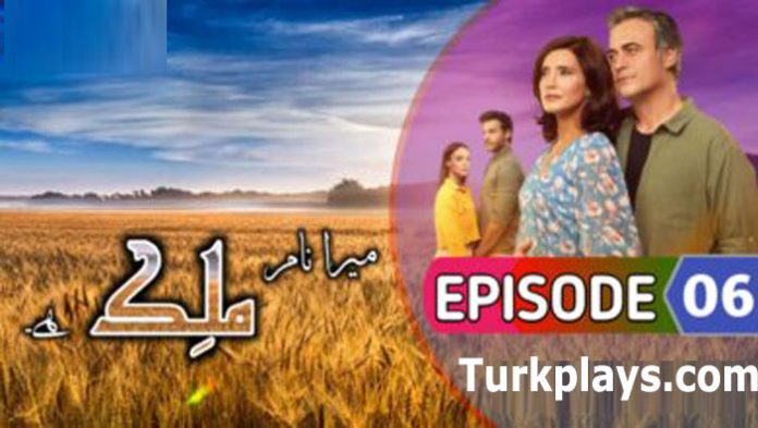 Malek Episode 6 with Urdu Subtitles
