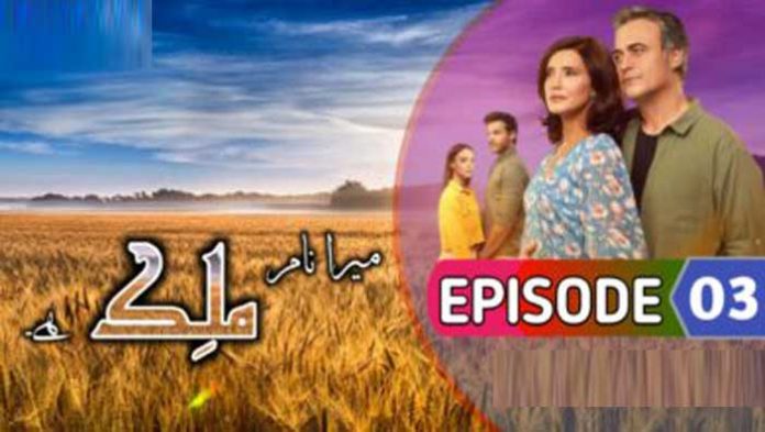 Malek Episode 3 with Urdu Subtitles