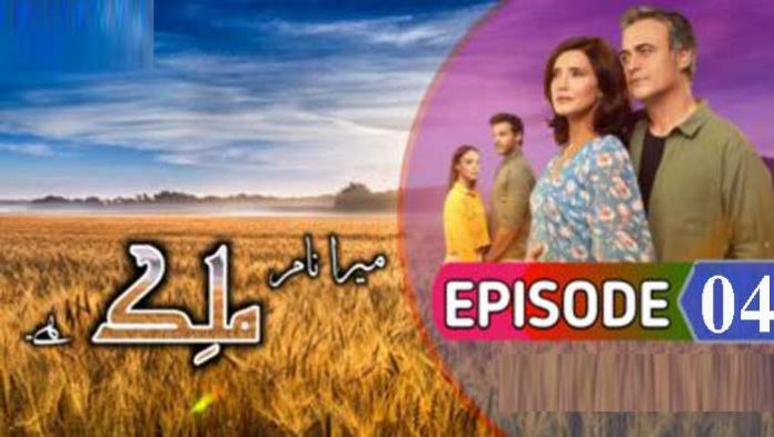 Malek Episode 4 with Urdu Subtitles