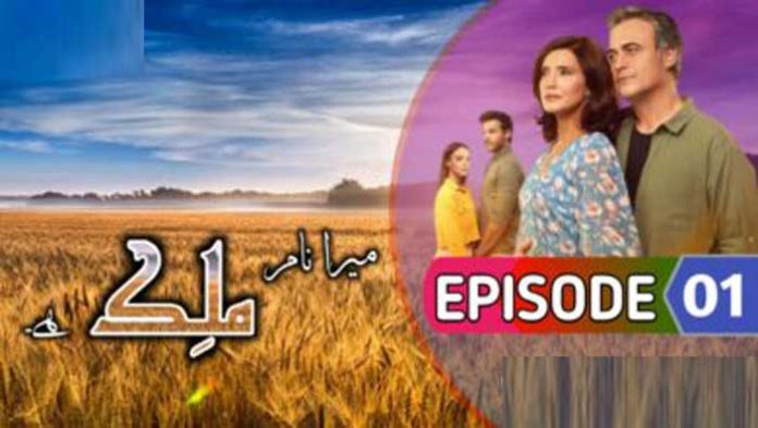 Malek Episode 1 with Urdu Subtitles