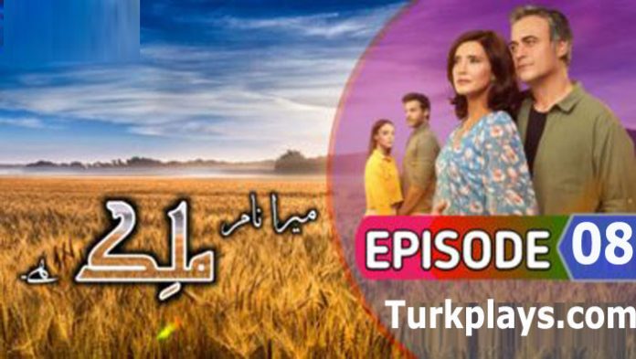 Malek Episode 8 with Urdu Subtitles