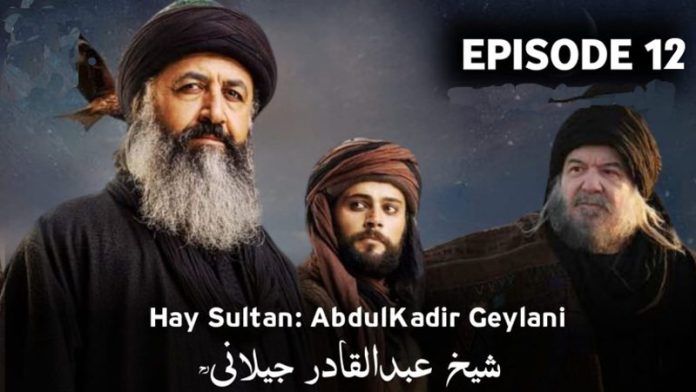 Hay Sultan Episode 12 With Urdu Subtitles
